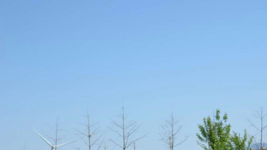 中欧体育登录入口-官方登录国际中欧体育:把爱与温暖送到智障孩子心中 